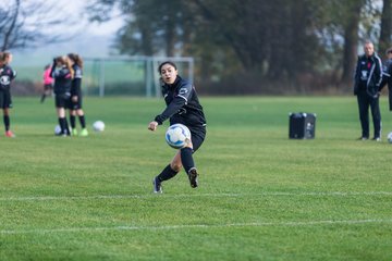 Bild 133 - wBJ MSG Steinhorst-Krummesse - VfL Pinneberg : Ergebnis: 2:0